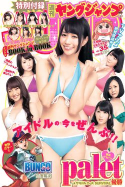 国产熟妇与子伦HD